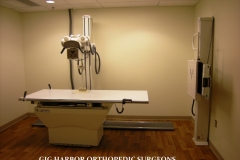 gigharbororthopedic