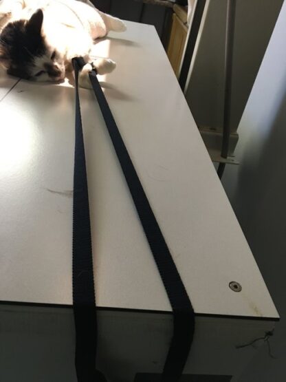 Elastic Extremity Straps - 1" Wide - Image 3