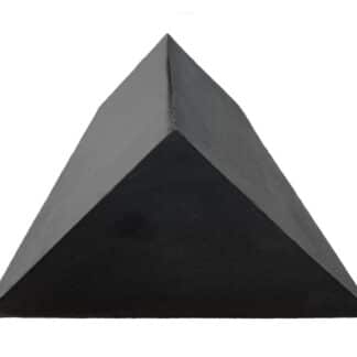 YXBD - Closed Cell Large 45° Spinal Body Wedge